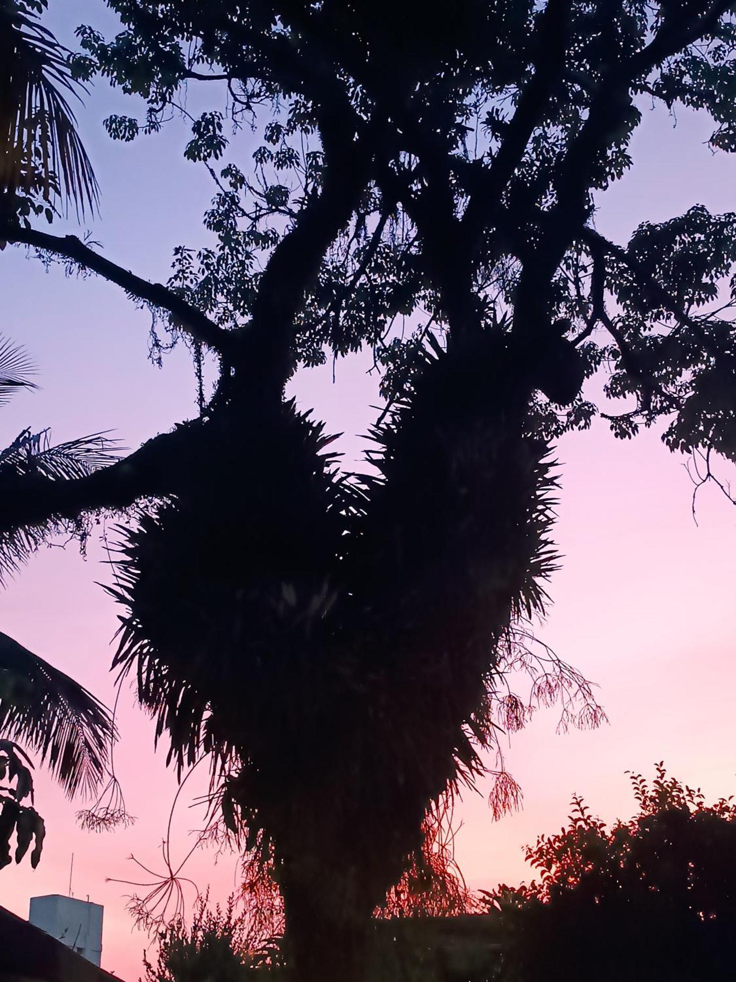 Enseada Suites Guarujá Buitenkant foto